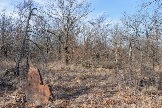 Bixby Rd, Mounds, OK 74047 - photo 15