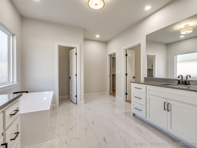 bathroom with vanity and a bathing tub