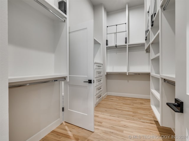 spacious closet featuring light hardwood / wood-style flooring