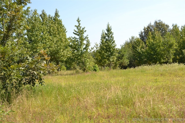 view of local wilderness