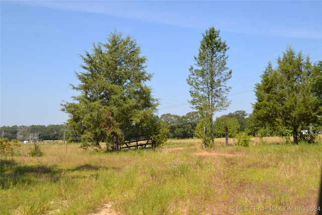 view of local wilderness