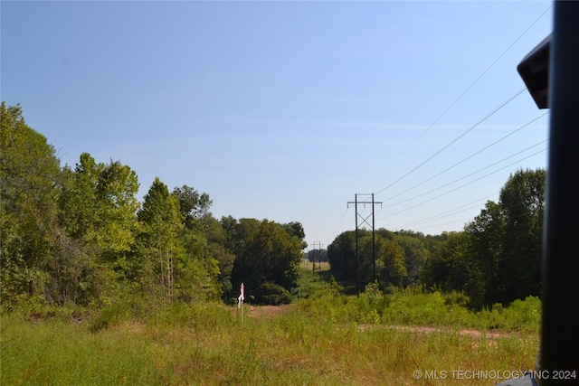 view of local wilderness