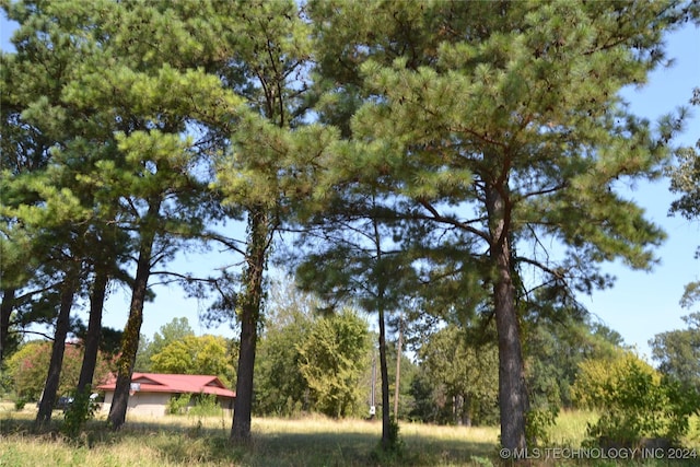 view of nature with a view of trees