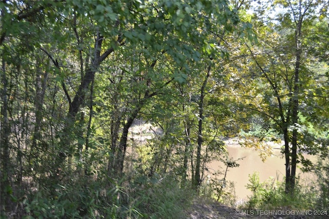 view of local wilderness with a wooded view