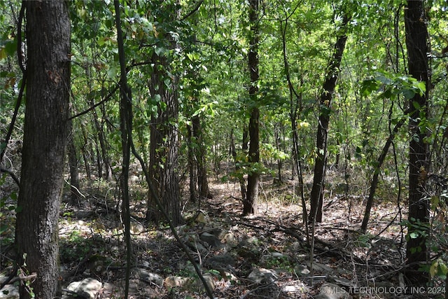 view of landscape featuring a forest view