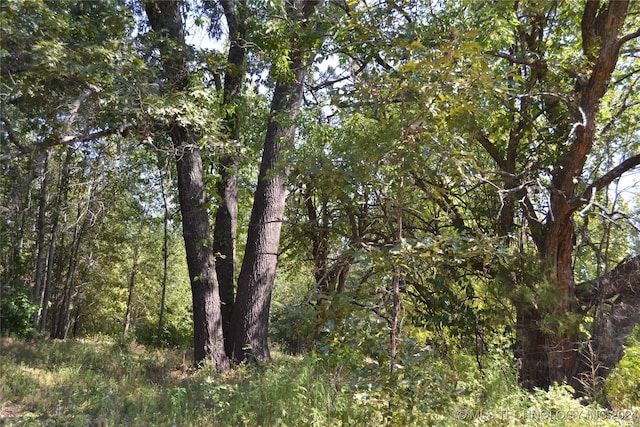 view of nature with a forest view