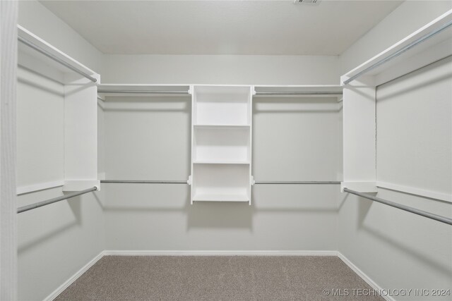 spacious closet featuring carpet