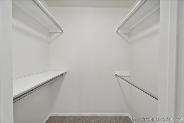 walk in closet with carpet