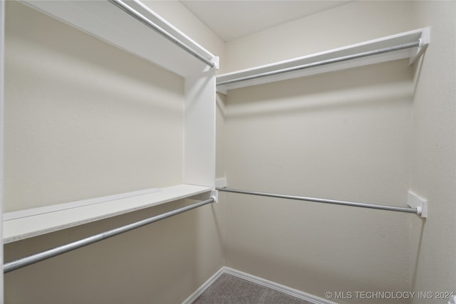 walk in closet featuring carpet floors