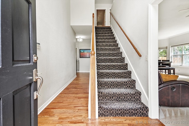 foyer featuring ornamental molding and hardwood / wood-style flooring