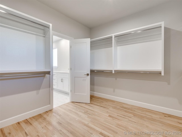 spacious closet featuring light hardwood / wood-style flooring