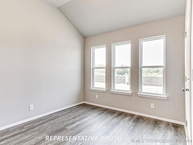 unfurnished room featuring lofted ceiling and dark wood-type flooring