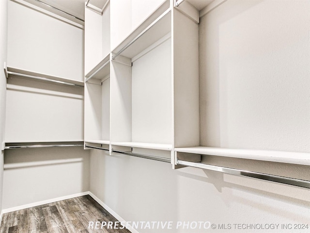 walk in closet featuring dark wood-type flooring