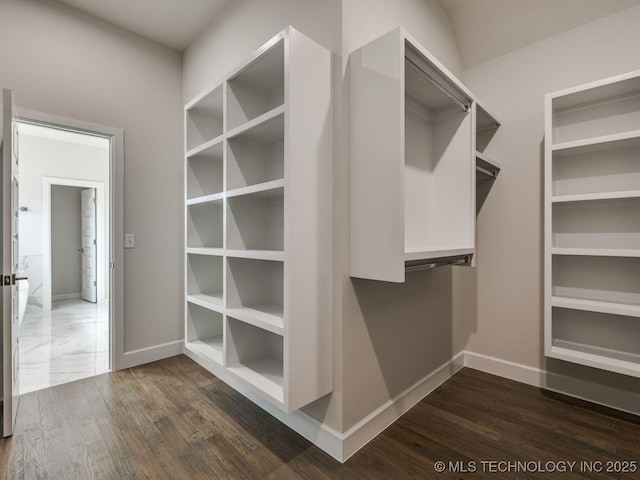 walk in closet featuring dark wood-type flooring