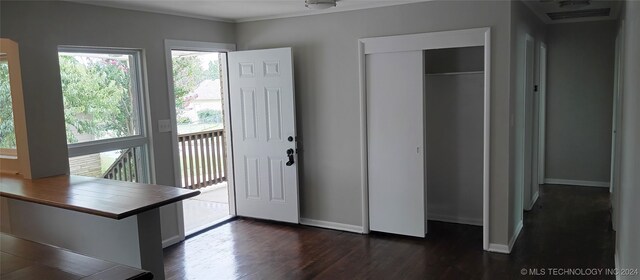 entryway featuring dark wood-type flooring