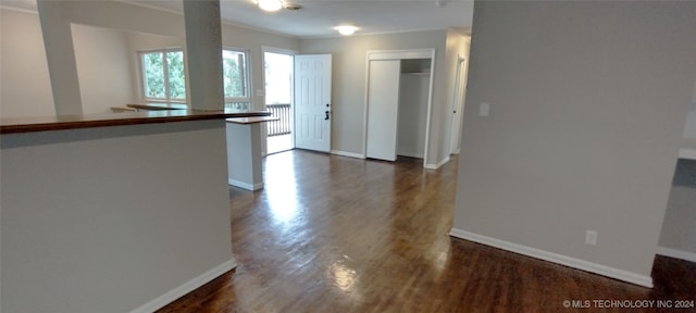 kitchen featuring ornamental molding, dark wood-type flooring, and kitchen peninsula