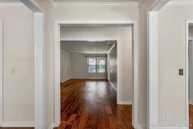 hallway with crown molding and dark hardwood / wood-style floors