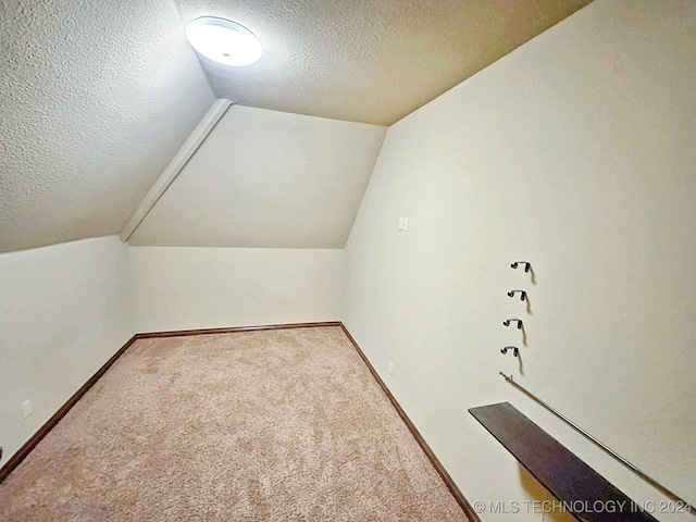 additional living space featuring vaulted ceiling, a textured ceiling, and light colored carpet