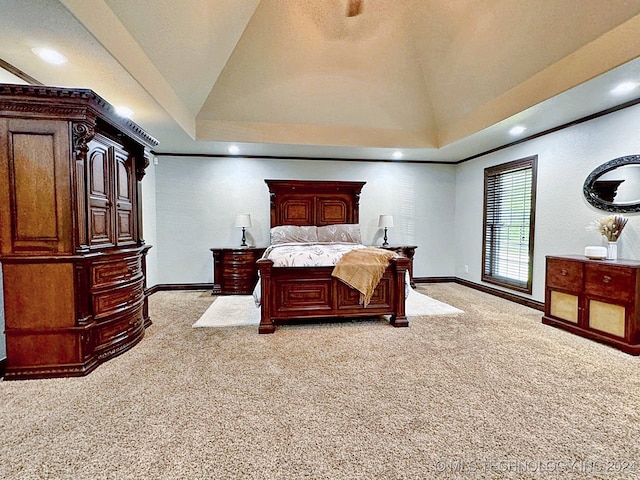 bedroom featuring carpet flooring and a raised ceiling