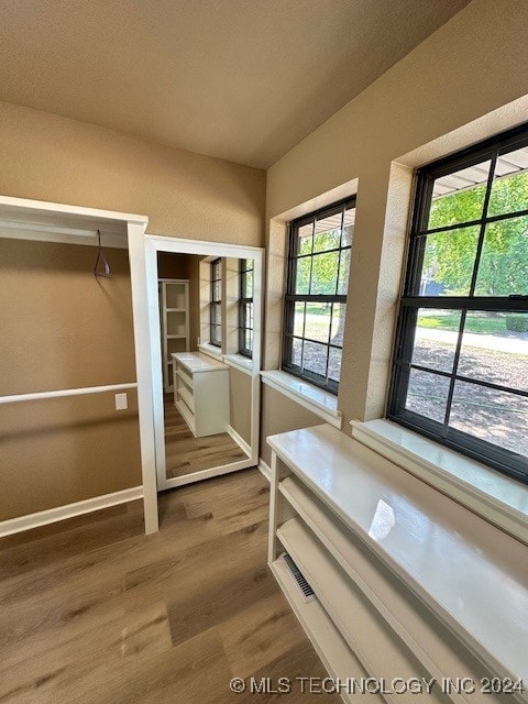 walk in closet featuring hardwood / wood-style flooring