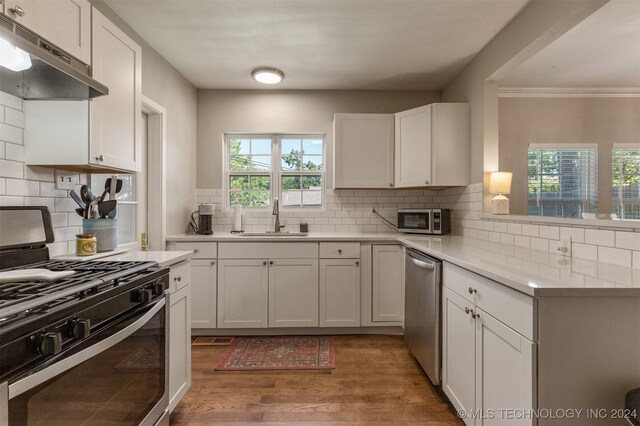 kitchen with appliances with stainless steel finishes, plenty of natural light, hardwood / wood-style flooring, and sink