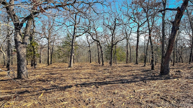 Listing photo 3 for 0 County Road 3630, Ada OK 74820