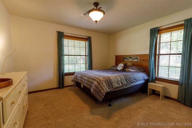 bedroom with multiple windows, a textured ceiling, and light colored carpet