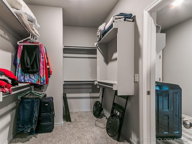 walk in closet featuring carpet flooring