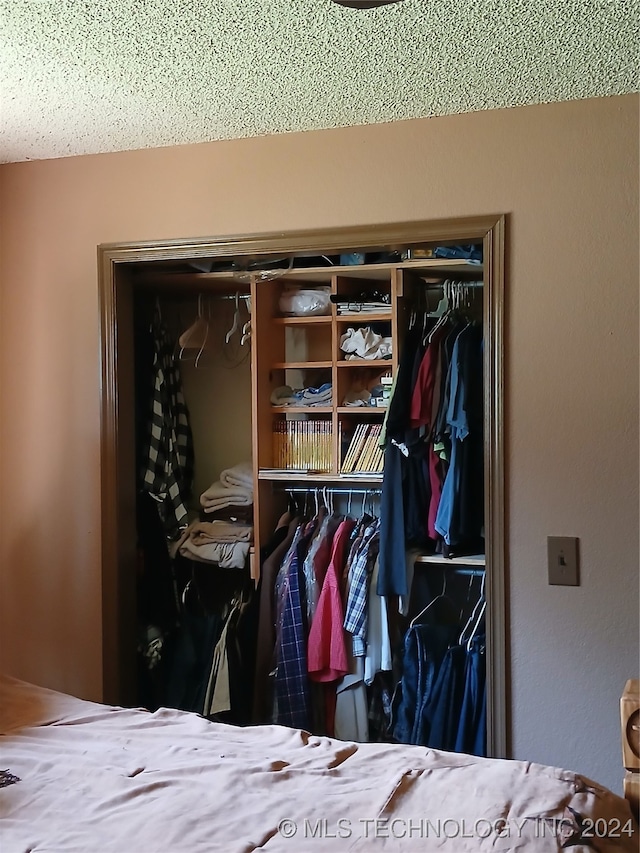 view of closet