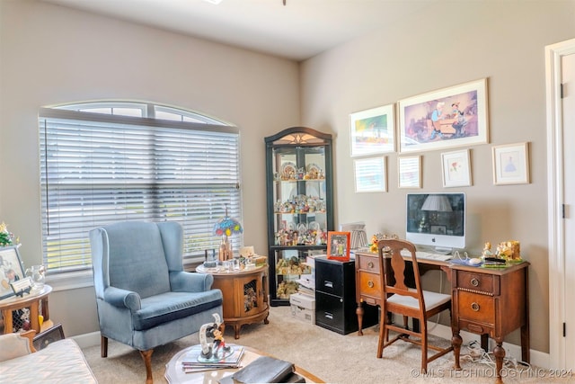 view of carpeted home office