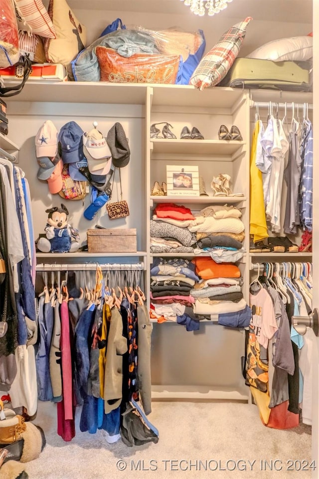 spacious closet with light colored carpet