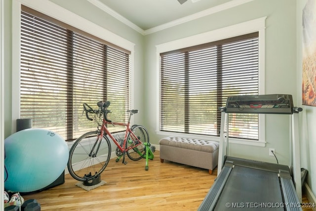 workout area with ornamental molding and light hardwood / wood-style flooring