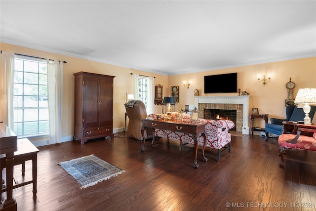 living room with a fireplace, dark hardwood / wood-style floors, and a healthy amount of sunlight