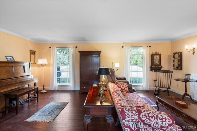 living room with ornamental molding, dark wood-type flooring, and plenty of natural light