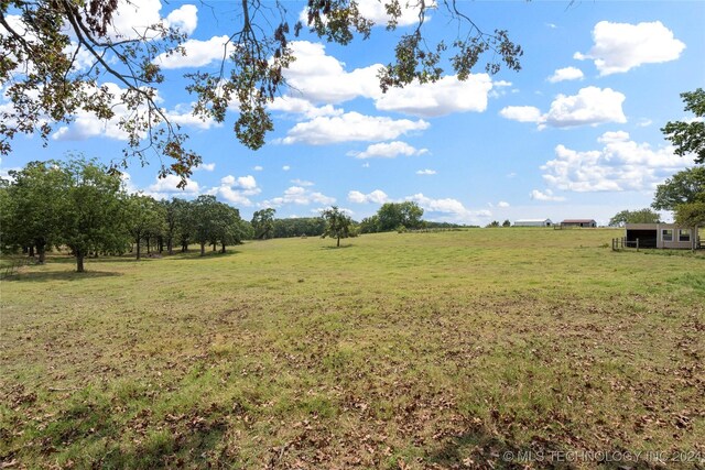 view of yard with a rural view