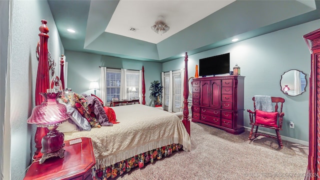 carpeted bedroom with a raised ceiling and a closet