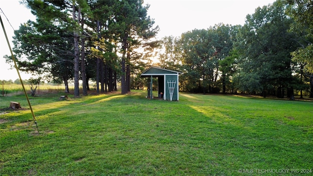 view of yard with an outbuilding