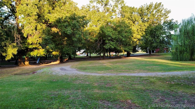 view of community with a lawn