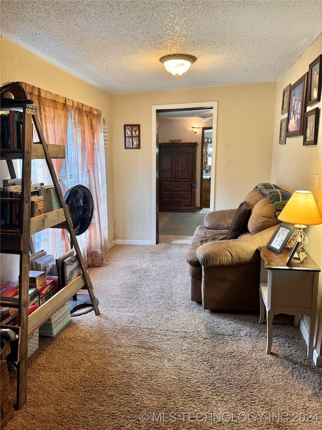 sitting room featuring a textured ceiling and carpet flooring