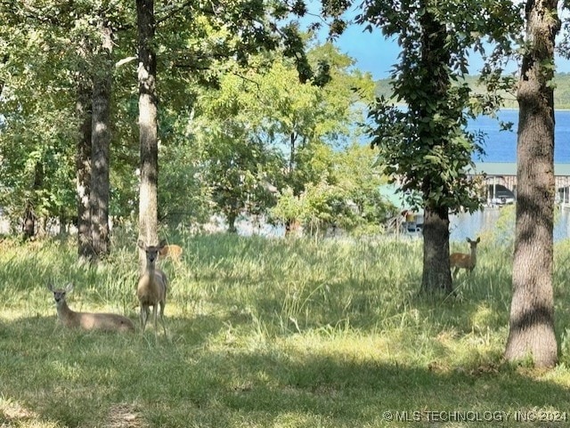 view of nature