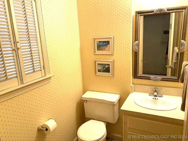 bathroom with vanity and toilet