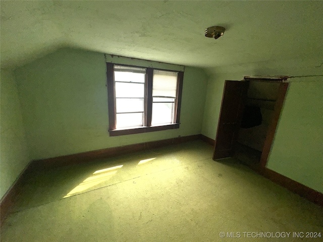 additional living space with a textured ceiling, light colored carpet, and vaulted ceiling