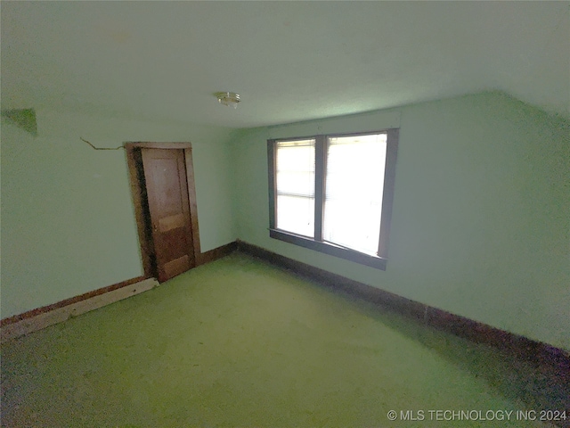 bonus room featuring carpet floors