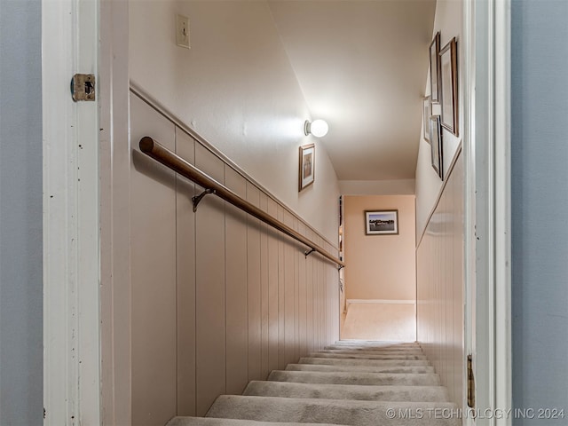 stairs with carpet flooring and wooden walls