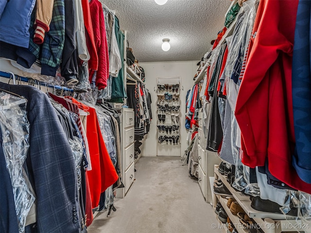 spacious closet featuring light carpet