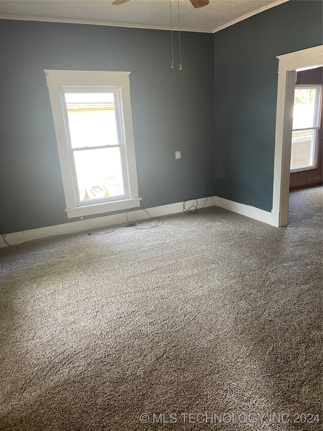 spare room featuring a textured ceiling, ceiling fan, ornamental molding, and carpet floors