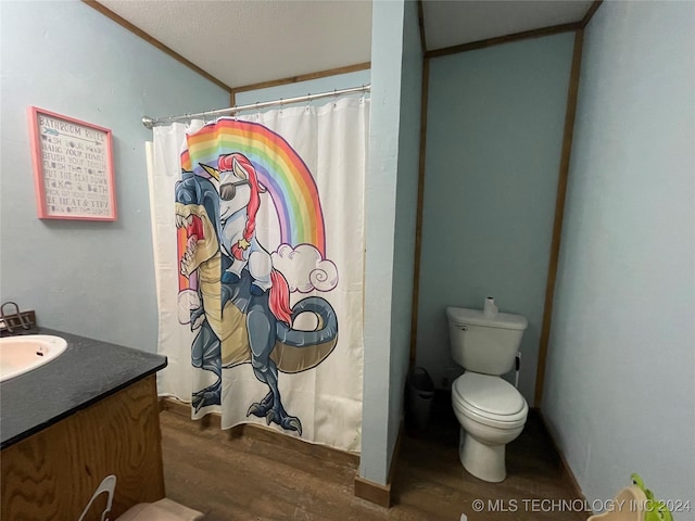 bathroom with curtained shower, vanity, toilet, and wood finished floors