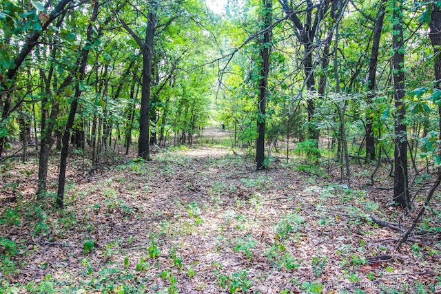 5 County, Eufaula OK, 74432 land for sale