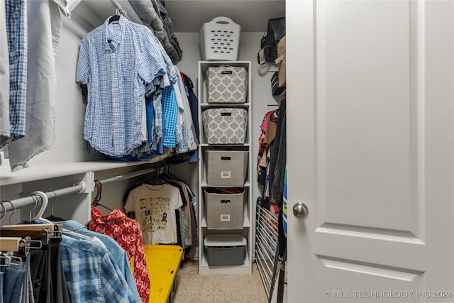 view of spacious closet