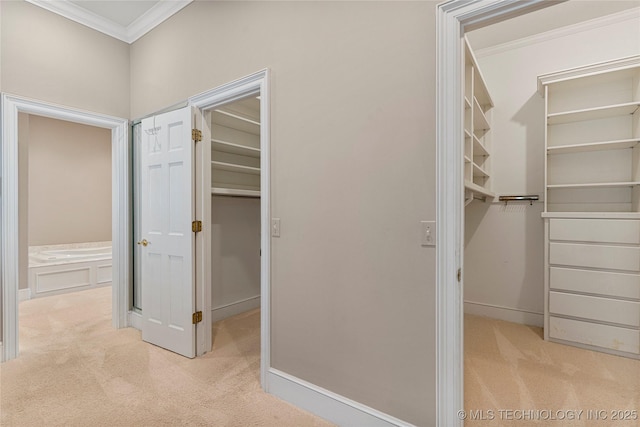 corridor with crown molding and light colored carpet